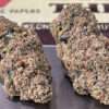 APPLE PIE 3.5g SATIVA JUNGLE BOYS NEW 🔥🔥
