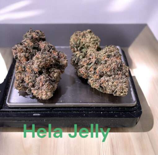 HELLA JELLY 3.5g SATIVA 37%THC (HUMBOLT SEED) LIMITED BATCH 🔥🔥🔥
