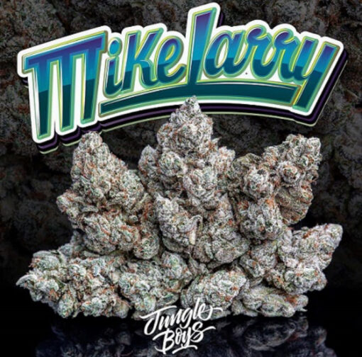 MIKE LARRY 3.5g (JUNGLE BOYS) HYBRID 🔥🔥