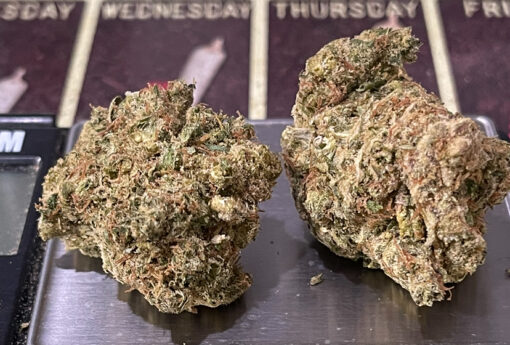 NORTHERN HAZE🏆🏆 3.5g SATIVA 37%THC ON SALE 🔥🔥