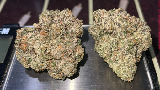 DUJI 3.5g By GOTTI 🎉420 SALE🎉 36%THC HYBRID RARE 🔥🔥🔥