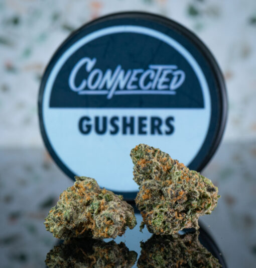 GUSHERS 3.5g HYBRID CONNECTED