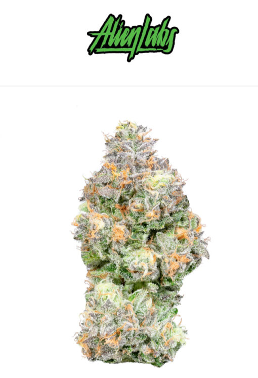 ZPECTRUM 3.5g (ALIEN LABS ) HYBRID NEW DROP 🔥🔥🔥