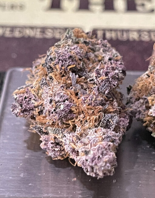 TROPICANA COOKIES 3.5g SATIVA 🔥🔥🔥28%THC INDOOR