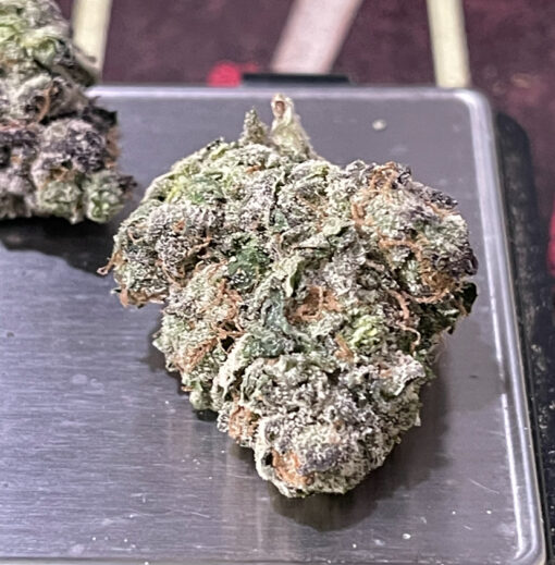 BUTTERSCOTCH GELATO 3.5g 33%THC MEDIUM/SMALL NUGS EXOTIC 🔥🔥HYBRID 🔥🔥