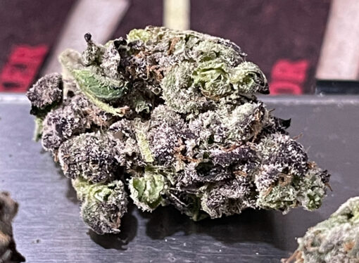 BUTTERSCOTCH GELATO 3.5g 33%THC MEDIUM/SMALL NUGS EXOTIC 🔥🔥HYBRID 🔥🔥