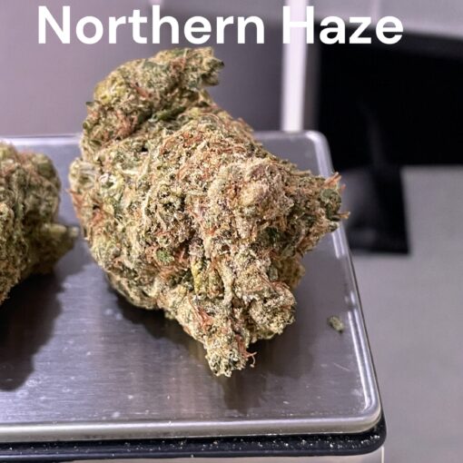 NORTHERN HAZE🏆🏆 3.5g SATIVA 37%THC ON SALE 🔥🔥