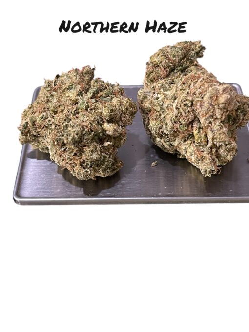 NORTHERN HAZE🏆🏆 3.5g SATIVA 37%THC ON SALE 🔥🔥