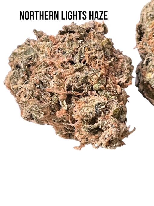 NORTHERN LIGHTS#5 x HAZE 28g OZ ON SALE SATIVA RARE EXOTIC🏆🏆 36%THC LIMITED BATCH 🔥🔥 🎉420 SALE 🎉
