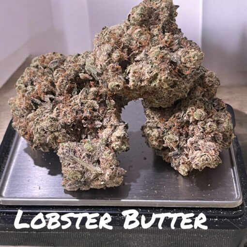LOBSTER BUTTER 🏆🏆28GRAMS  OZ EXOTICS oN SALE 37%THC HYBRID 🔥🔥🔥LIMITED BATCH AWARD WINNER🎉 420 SALE🎉