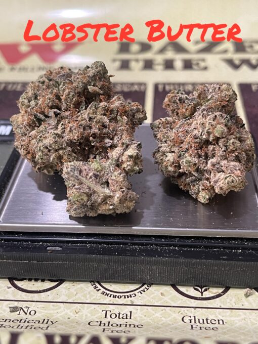 LOBSTER BUTTER 🏆🏆28GRAMS  OZ EXOTICS oN SALE 37%THC HYBRID 🔥🔥🔥LIMITED BATCH AWARD WINNER🎉 420 SALE🎉