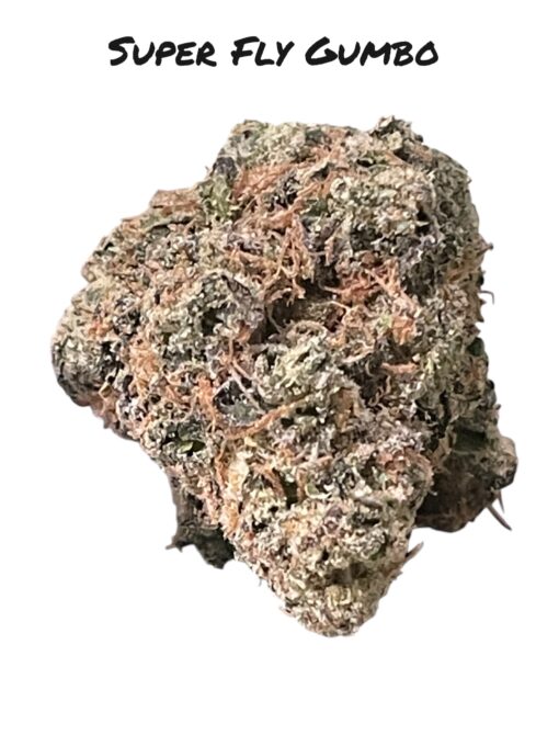 SUPER FLY GUMBO 3.5g 37%THC 🔥🔥🔥INDICA EXOTIC 🎉420 SALE🎉 🔥
