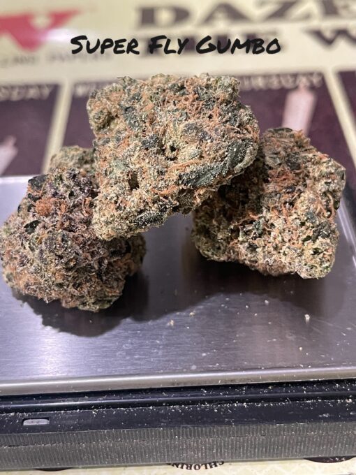 SUPER FLY GUMBO 3.5g 37%THC 🔥🔥🔥INDICA EXOTIC 🎉420 SALE🎉 🔥