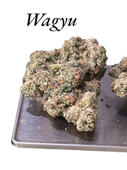 WAGYU 🏆🔥🏆3.5g INDICA EXOTICS ON 🎉420 SALE🎉 🔥 36%THC
