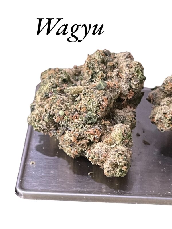 Wagyu: A Premium Hybrid Strain with Bold Flavor and Luxury-Level Relaxation