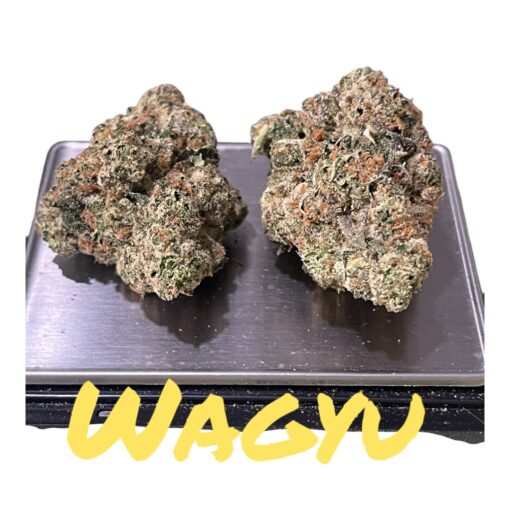 WAGYU 🏆🔥🏆3.5g INDICA EXOTICS ON 🎉420 SALE🎉 🔥 36%THC