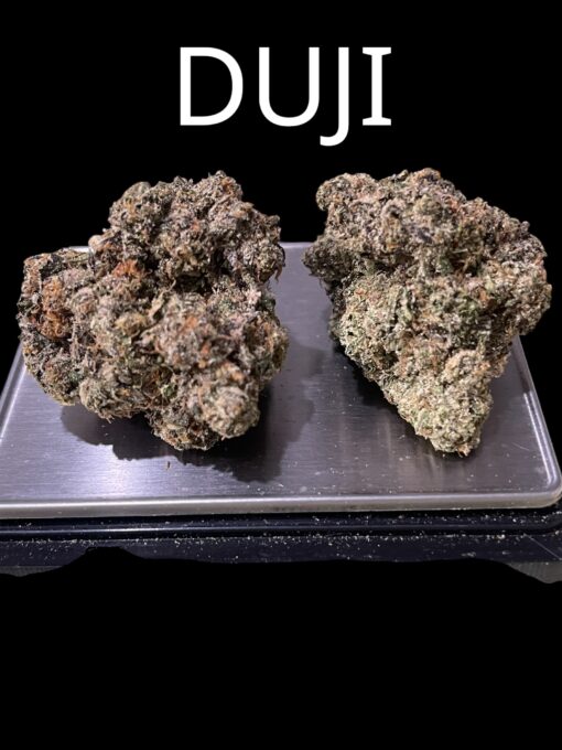 DUJI 3.5g By GOTTI 🎉420 SALE🎉 36%THC HYBRID RARE 🔥🔥🔥
