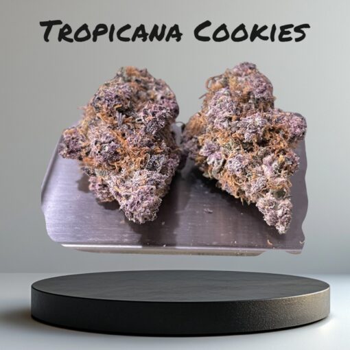 TROPICANA COOKIES 3.5g SATIVA 🔥🔥🔥28%THC INDOOR