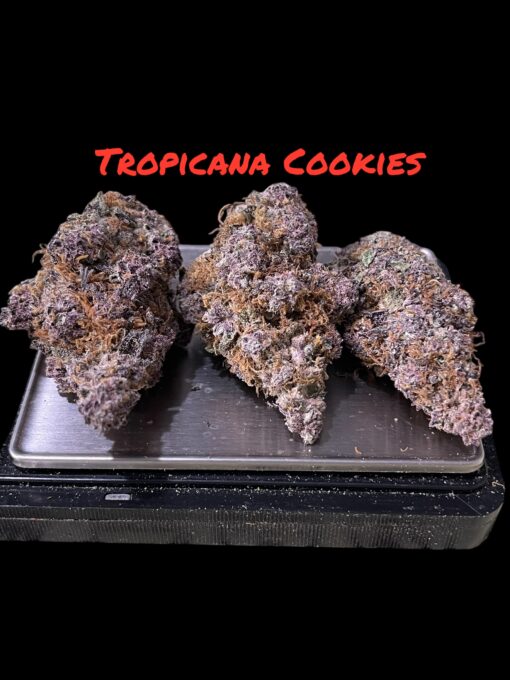TROPICANA COOKIES 3.5g SATIVA 🔥🔥🔥28%THC INDOOR