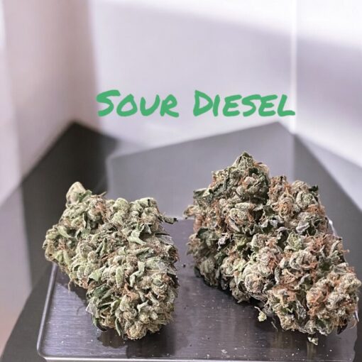 SOUR DIESEL 28grams On SALE $100 26%THC