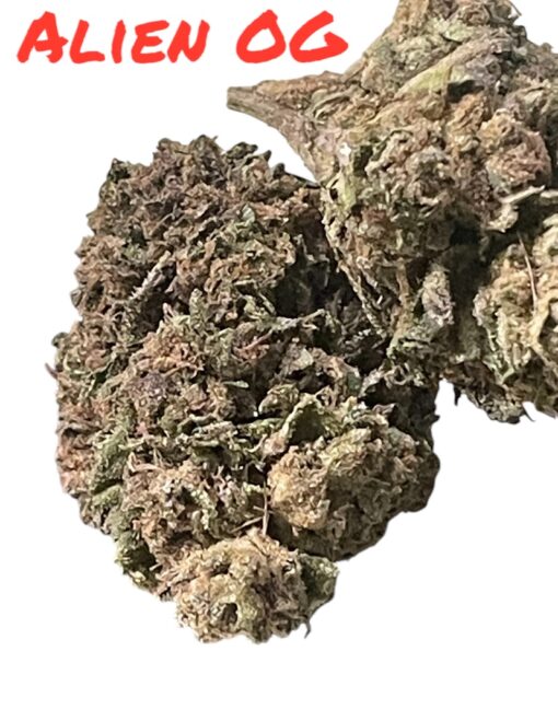ALIEN OG 28g OZ ON SALE INDICA 27%THC 🔥🔥