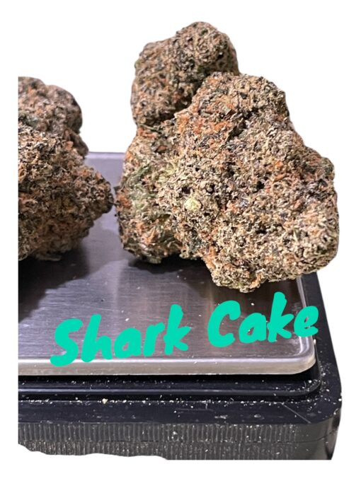 Shark Cake 3.5g HYBRID 31% THC  🦈🦈