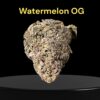 WATERMELON  OG 🍉🍉7GRAMS QUARTER 27%THC INDICA