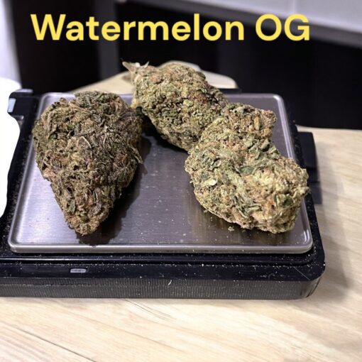 WATERMELON  OG 🍉🍉7GRAMS QUARTER 27%THC INDICA