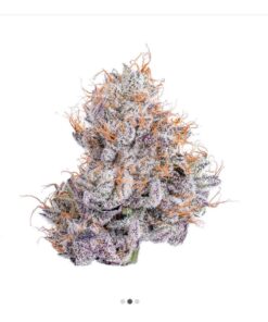 NIGHT SHADE 🔥🔥3.5g (CONNECTED) HYBRID / INDiCA