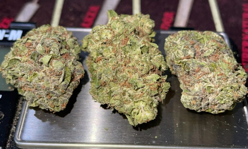 WHITE BACIO 28g OZ ON SALE 27%THC HYBRID  🔥🔥