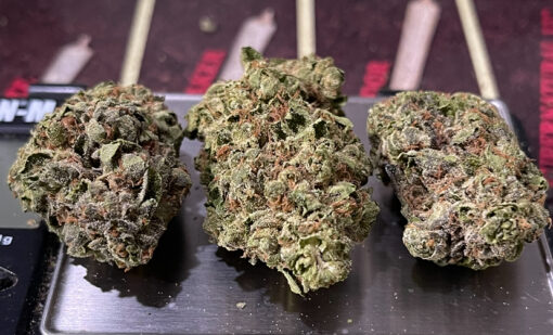 WHITE BACIO 28g OZ ON SALE 27%THC HYBRID  🔥🔥