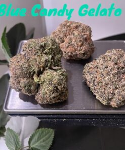 BLUE CANDY GELATO 28grams HYBRID OZ ON SALE 30%THC CRAFT CANNABIS