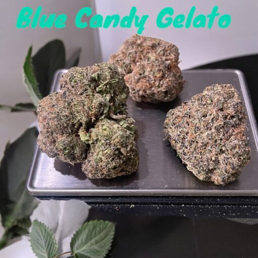 BLUE CANDY GELATO 28grams HYBRID OZ ON SALE 30%THC CRAFT CANNABIS