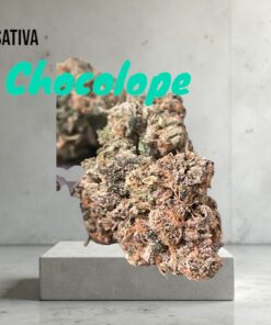 CHOCOLOPE 3.5g SATIVA 29%THC 🔥🔥