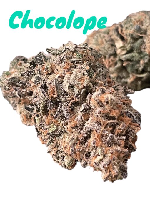 CHOCOLOPE 3.5g SATIVA 29%THC 🔥🔥