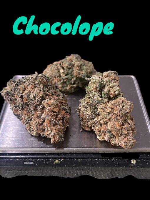 CHOCOLOPE 3.5g SATIVA 29%THC 🔥🔥