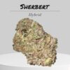 SHERBERT 28OZ ON SALE $120 28%THC HYBRID 🔥🔥