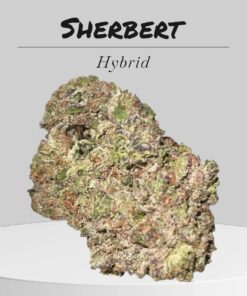 SHERBERT 28OZ ON SALE $120 28%THC HYBRID 🔥🔥