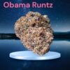 OBAMA RUNTZ 3.5g HYBRID 28%THC 🔥🔥