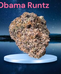 OBAMA RUNTZ 3.5g HYBRID 28%THC 🔥🔥