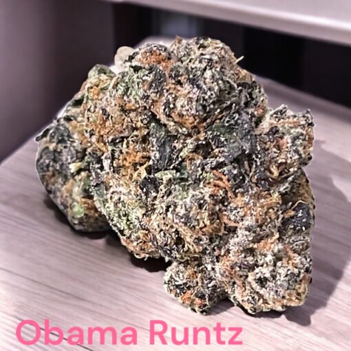 OBAMA RUNTZ 3.5g HYBRID 28%THC 🔥🔥