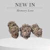 MEMORY LOSS 28grams SATIVA 28%THC on sale 🔥🔥