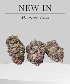 MEMORY LOSS 28grams SATIVA 28%THC on sale 🔥🔥