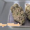 SUPER MELONADE 28g OZ ON SALE SATIVA 26%THC
