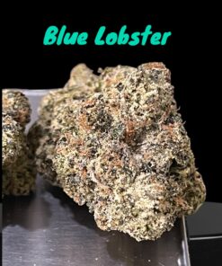 BLUE LOBSTER (Main Trees) 28grams ON SALE  37%THC HYBRID MEMORIAL DAY SALES 🦞Limited Batch🦞