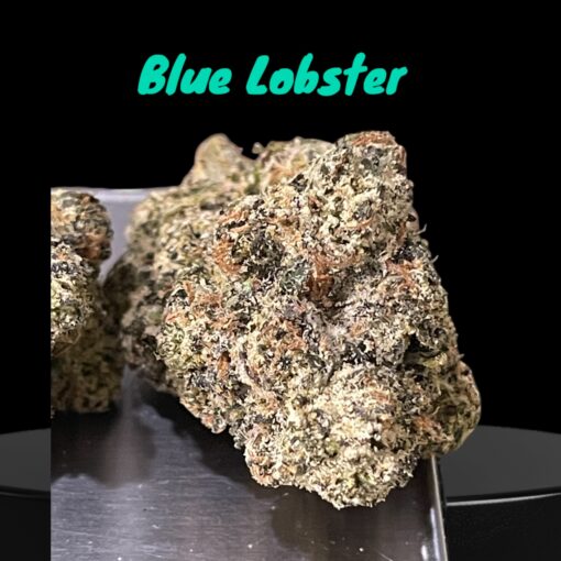BLUE LOBSTER (Main Trees) 28grams ON SALE  37%THC HYBRID MEMORIAL DAY SALES 🦞Limited Batch🦞