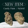 THE BLACK 3.5g (INDOOR) INDICA