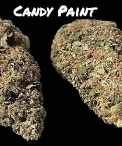 CANDY PAINT 🍬🍭 7GRAMS QUARTER HYBRiD 28%THC 🔥🔥