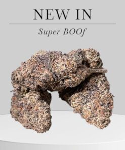 SUPER BOOF 28grams SATIVA 30%THC 🔥🔥🔥