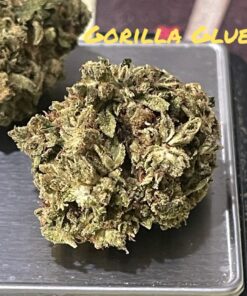 GORILLA GLUE 28grams OZ INDICA 26%THC 🔥🔥🔥